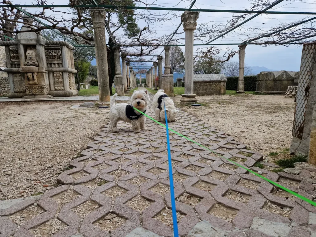 Oskar at Salona
