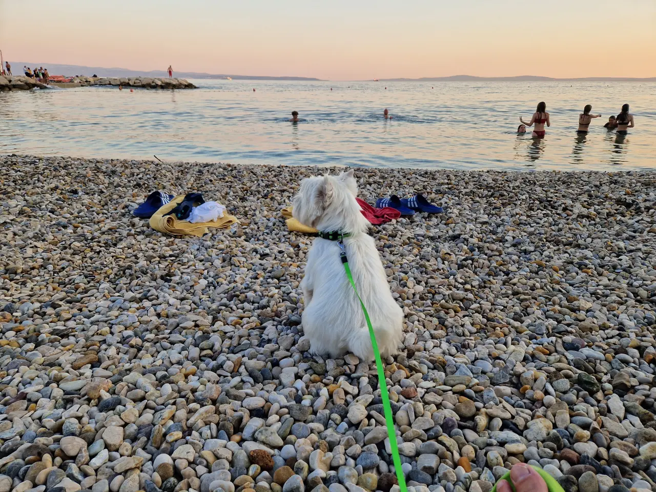 Oskar am Žnjan Strand