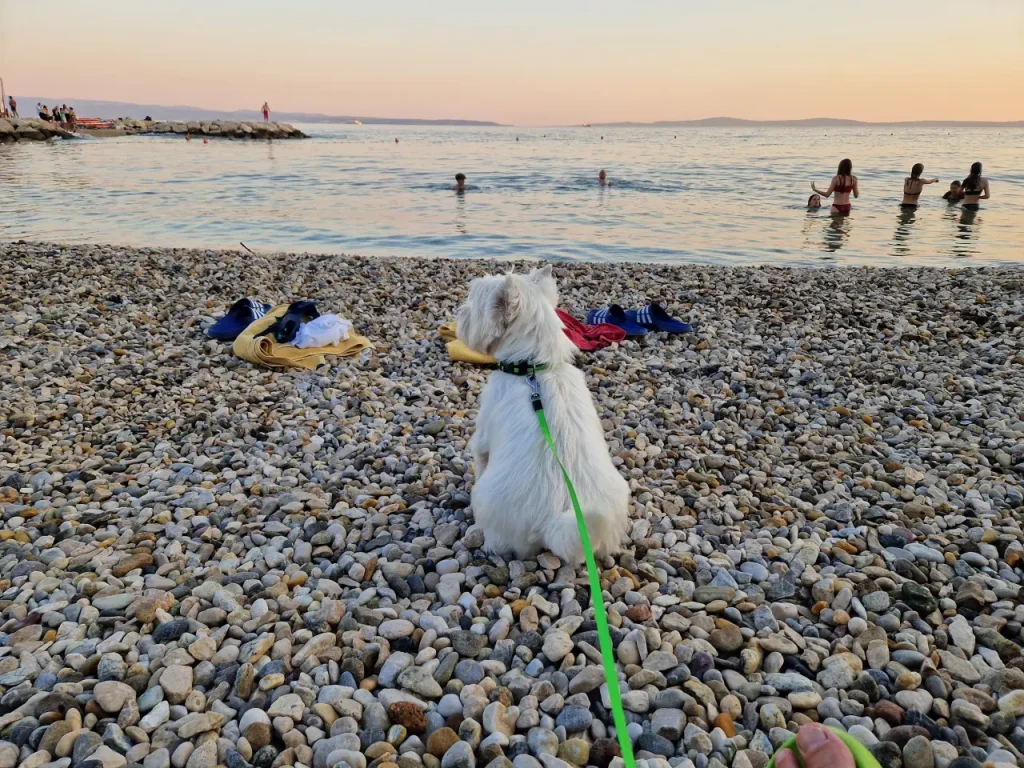 Plaža Žnjan
