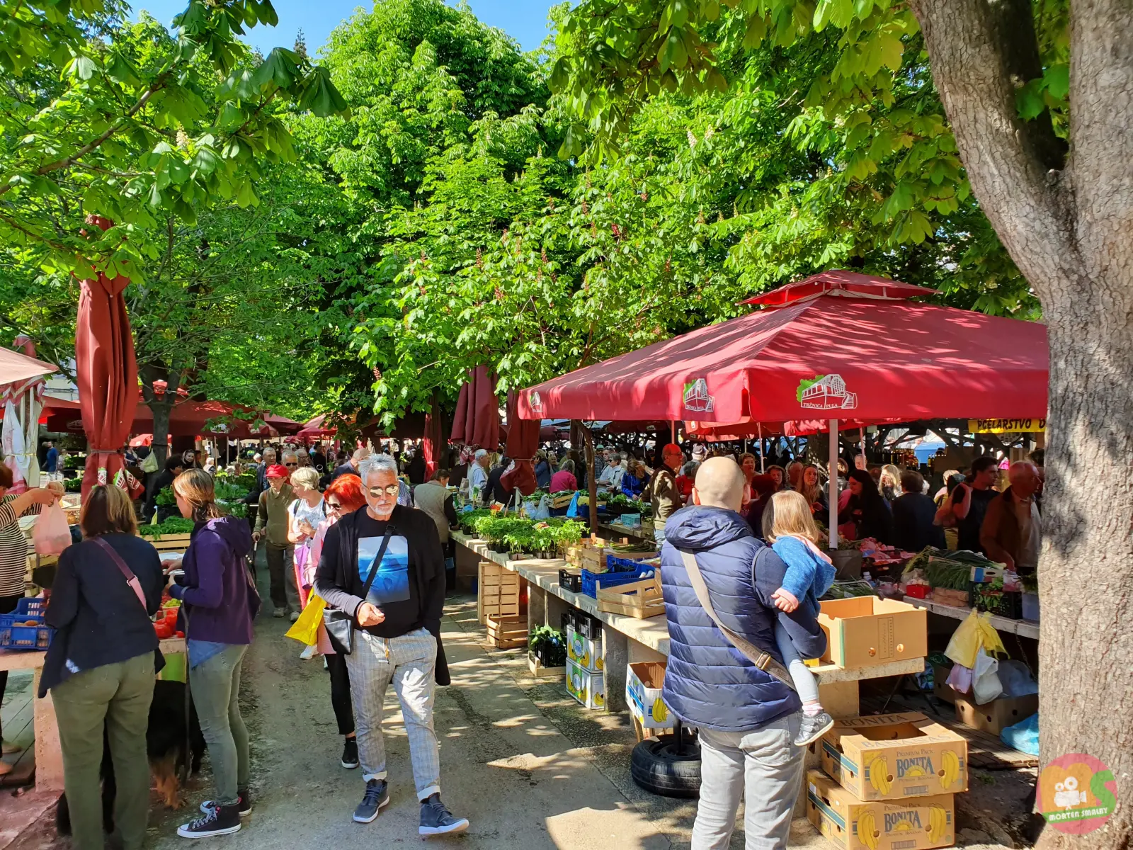 Pazar Pula