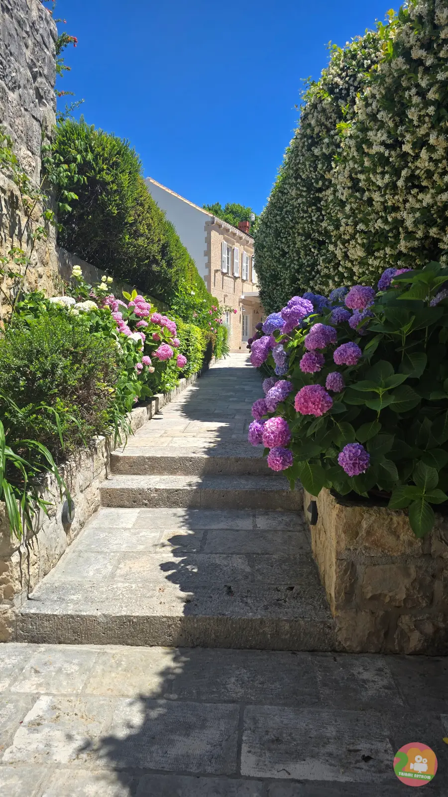 Villa Cavtat