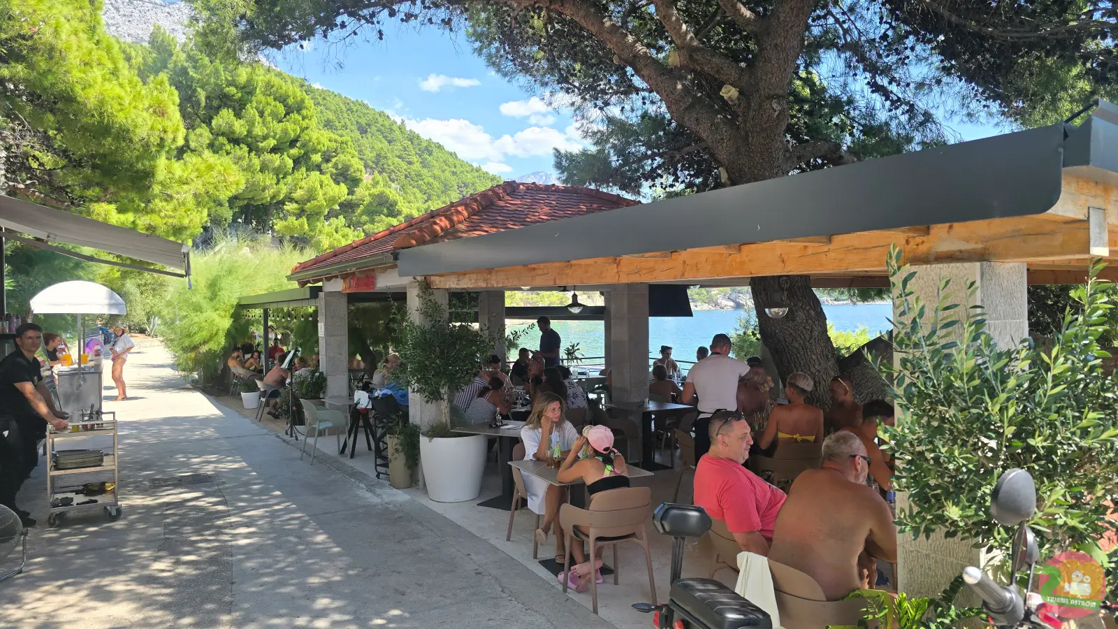 Covered terrace of La Bomba restaurant in Brela under a large pine tree, with guests at tables and the sea behind