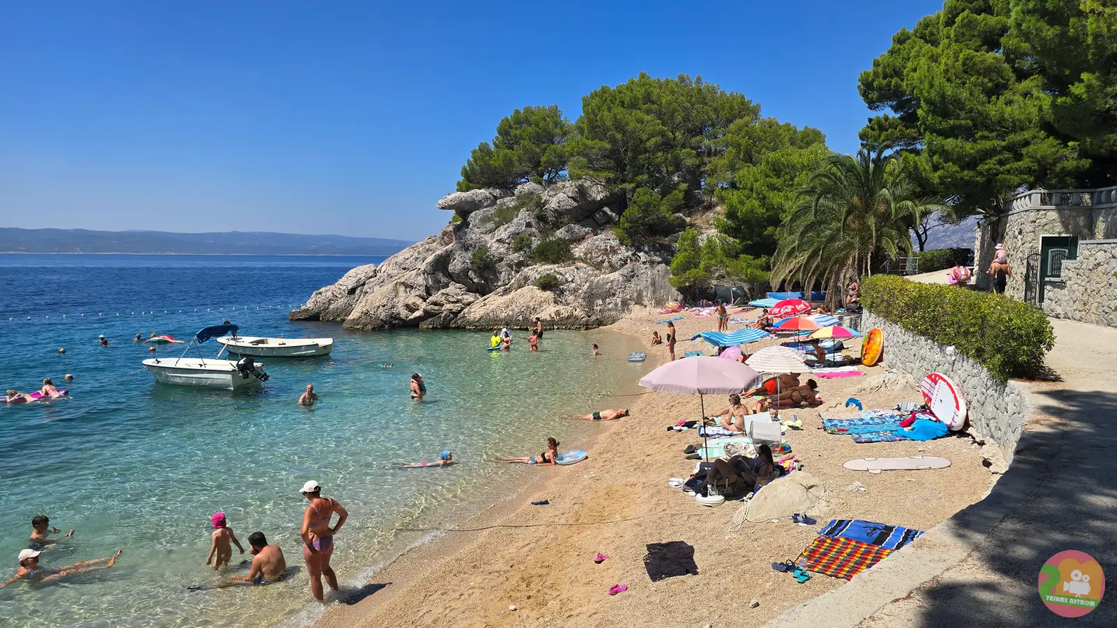 Plaža Podrače u Breli, šljunčana uvala ispod stjenovitog rta s borovima i palmom, s kupačima i suncobranima
