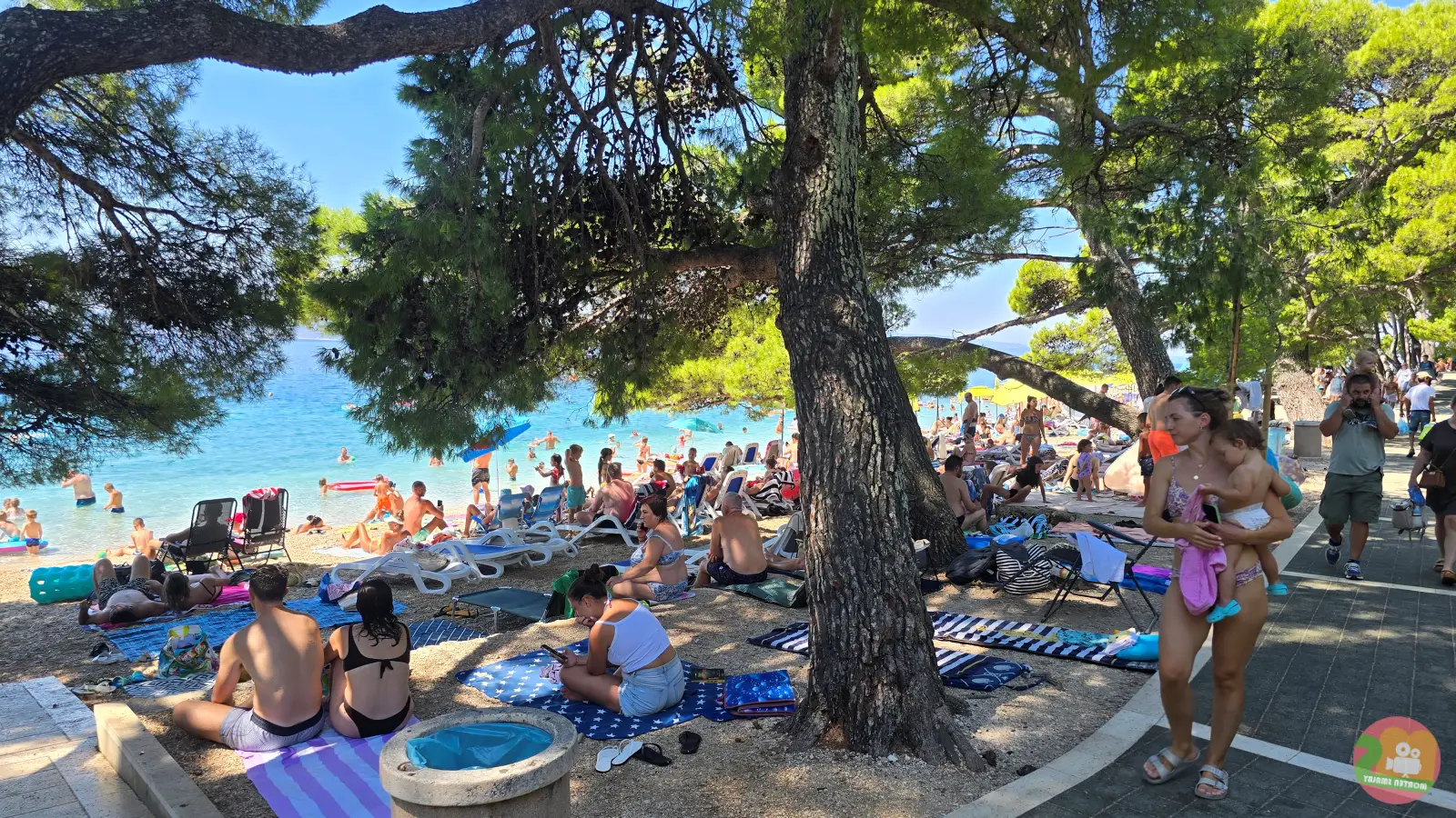 Fyldt, fyrreskygget strand ved Punta Rata i Brela med badegæster på håndklæder og liggestole ved promenaden