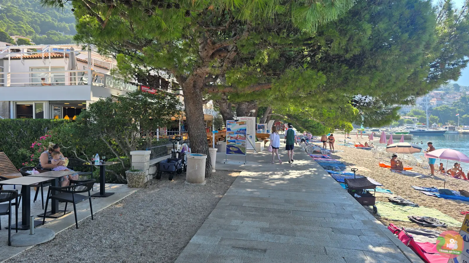 Promenade in Brela unter Pinien, auf der einen Seite Cafétische, auf der anderen Badegäste am Strand
