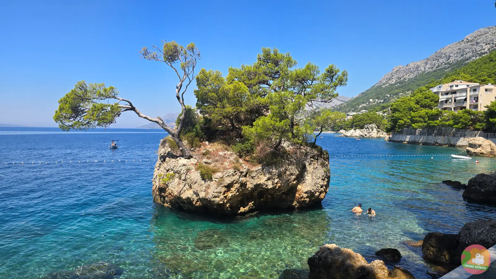 Kamen Brela, the small rock islet with pine trees off Punta Rata beach, in turquoise water with swimmers nearby