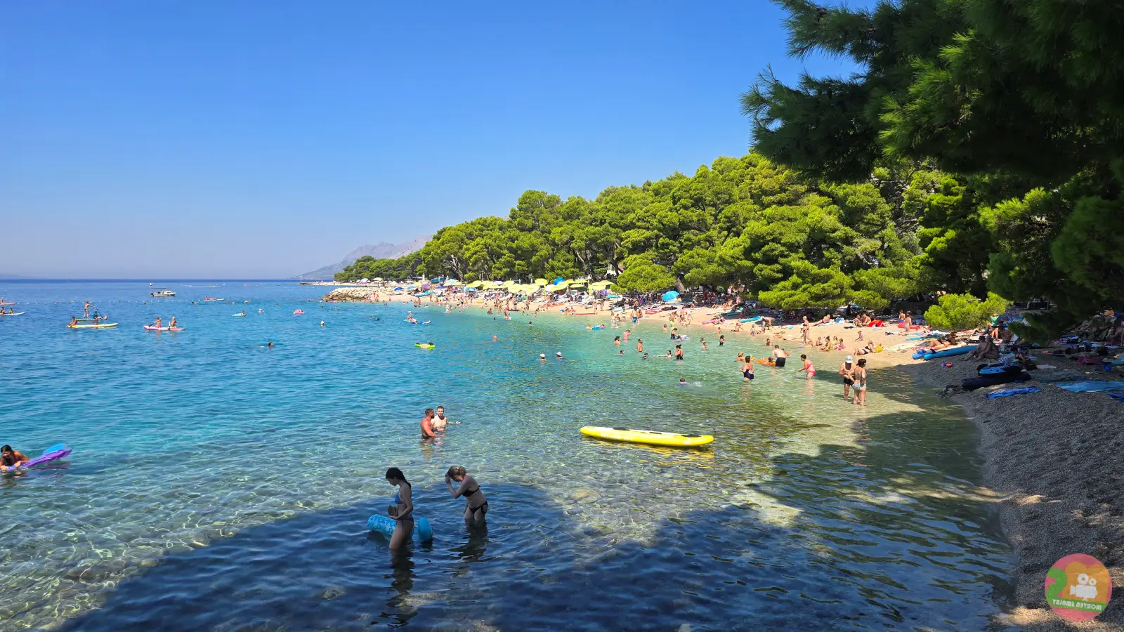 Voller Strand in Brela im Sommer mit vielen Schwimmern im flachen, türkisfarbenen Wasser und einem gelben SUP